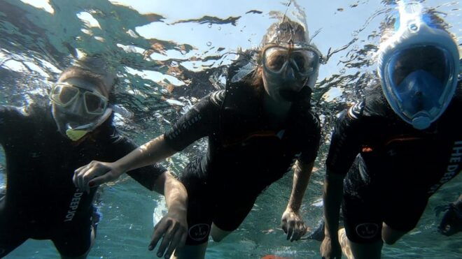 Tenerife: Alcalá Guided Snorkeling Tour - Participant Requirements