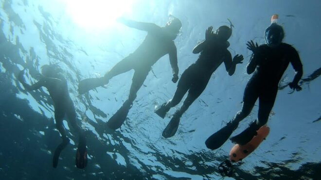 Tenerife: Alcalá Guided Snorkeling Tour - Cancellation Policy