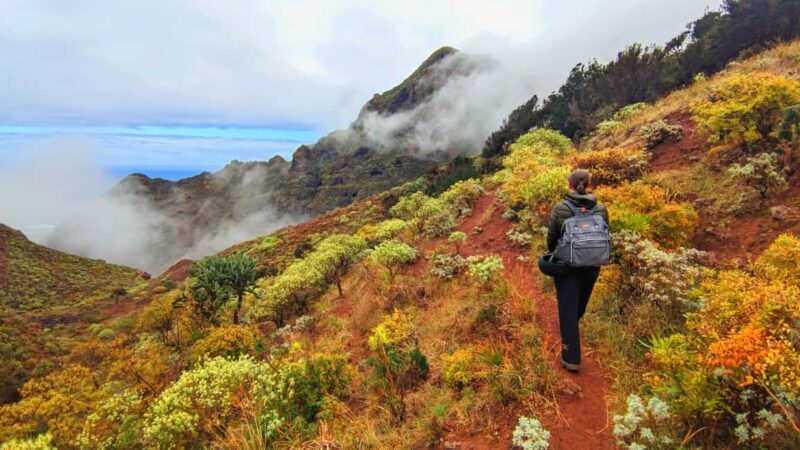 Tenerife: Anaga Hiking Tour & Enchanted Forest with Pickup - Realistic Expectations and Considerations