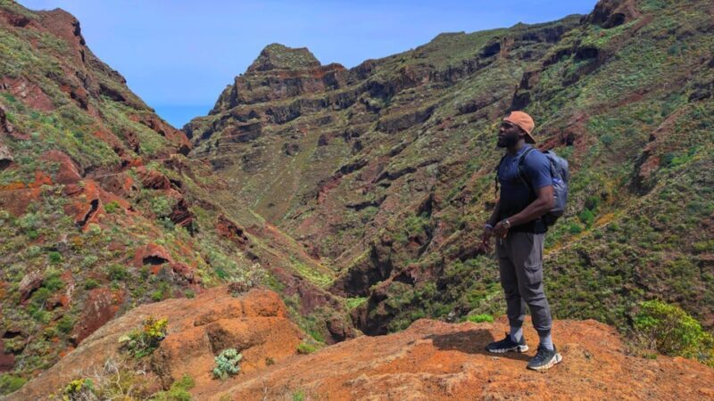 Tenerife: Anaga Hiking Tour & Enchanted Forest with Pickup - The Sum Up