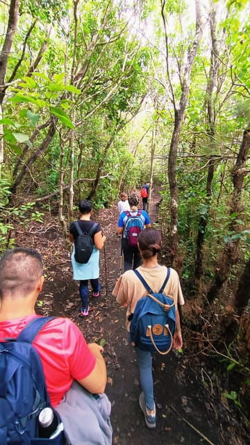 Tenerife: Anaga, Magical Forest - Thrilling Multi-Adventure Experiences