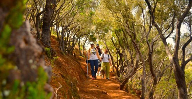 Tenerife: Anaga Mountains and Laurel Forest Hiking Tour - Important Information
