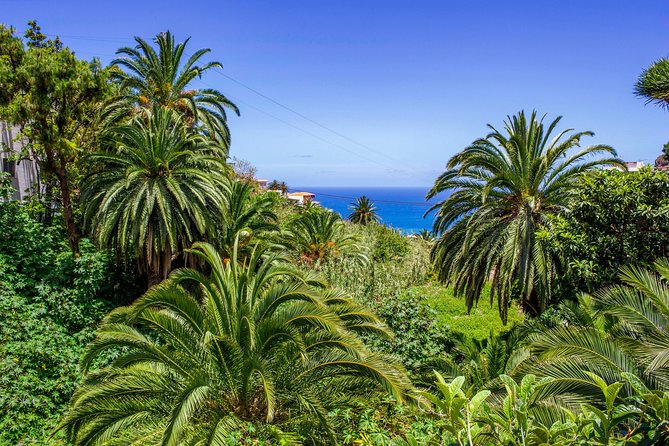 Tenerife: Anaga, San Cristobal Small-Group Full-Day Tour - Inclusions