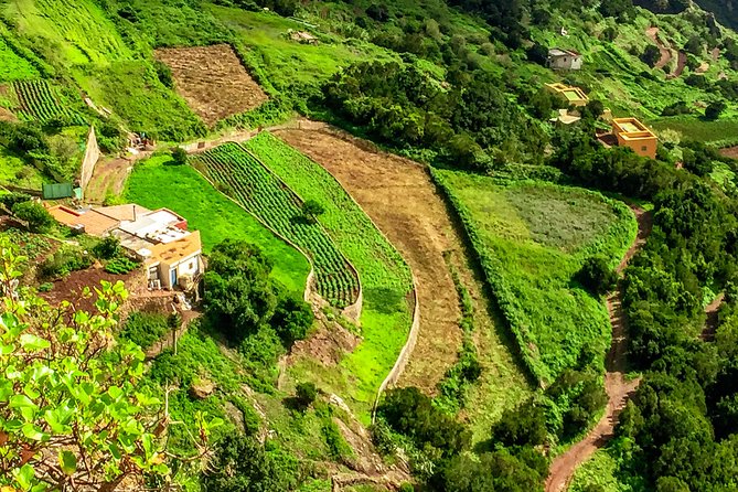 Tenerife: Anaga, San Cristobal Small-Group Full-Day Tour - Background