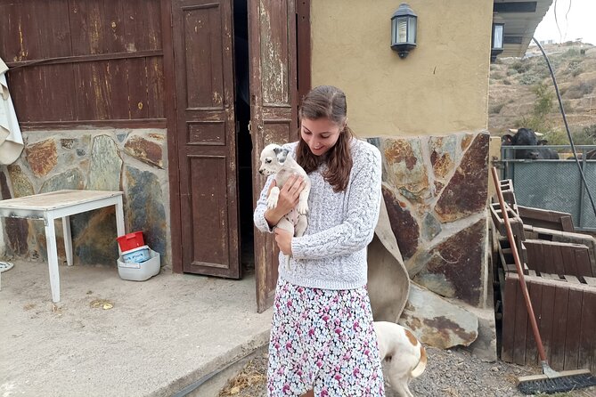 Tenerife Animal Farm Private Car Tour. Canarian Cheese and Wine - Pickup Point and Departure Details