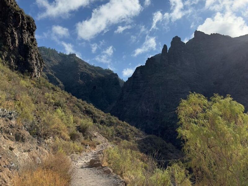 Tenerife: Barranco Del Infierno Guided Hiking Tour - Highlights and Experiences of the Tour