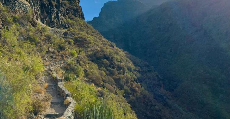 Tenerife: Barranco Del Infierno Guided Hiking Tour - Tour Logistics and Requirements