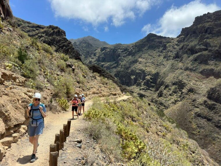 Tenerife: Barranco Del Infierno Guided Hiking Tour - Common Questions