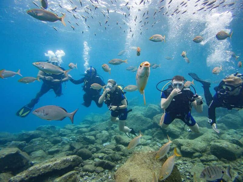 Tenerife: Beginner Scuba Dive Experience with Small Groups - Good To Know