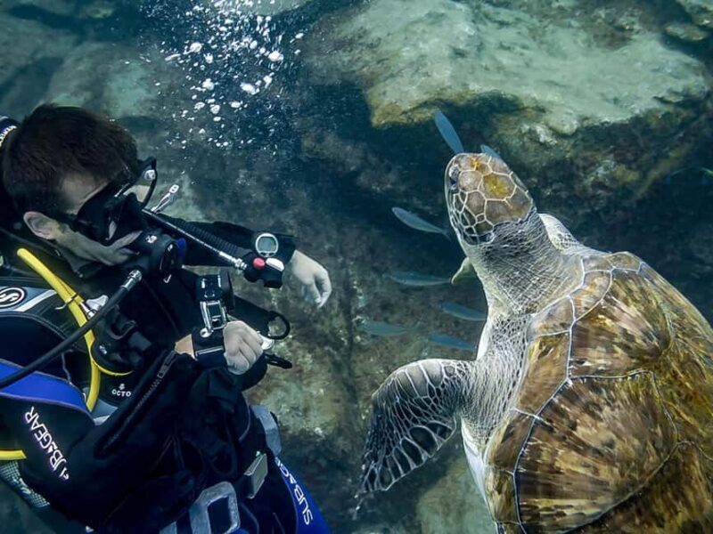 Tenerife: Beginner Scuba Dive Experience with Small Groups - Who Should Book This Experience?