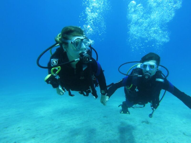 Tenerife: Beginner Scuba Dive Experience with Small Groups - Final Thoughts