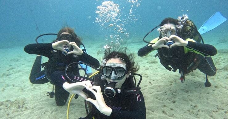 Tenerife: Beginners Dive at a Spot With Turtle Sightings - Activity Details