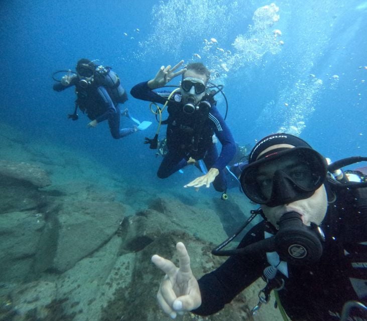 Tenerife: Beginners Dive at a Spot With Turtle Sightings - Highlights of the Dive Tour