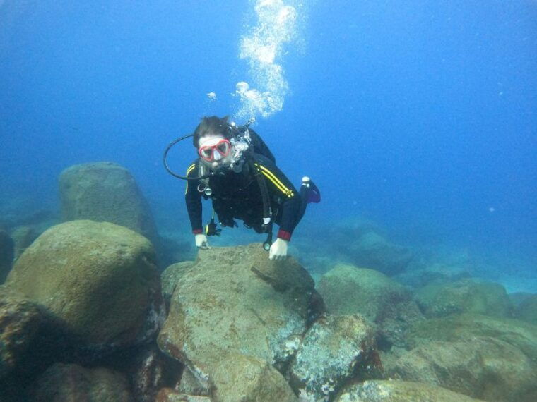 Tenerife: Beginners Scuba Dive Experience in Turtle Area - Inclusions and Requirements
