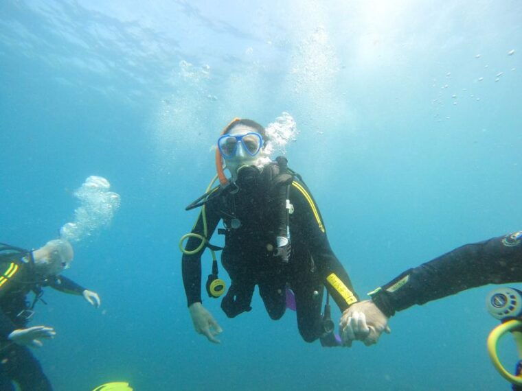 Tenerife: Beginners Scuba Dive Experience in Turtle Area - Important Information