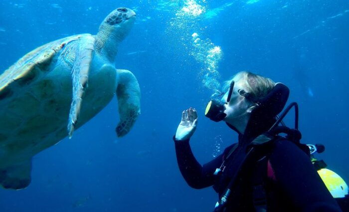 Tenerife: Beginners Scuba Dive Experience in Turtle Area - Preparing for the Dive