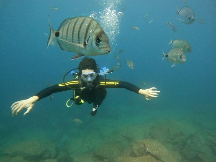 Tenerife: Beginners Scuba Dive in Puerto Colon Turtle Area - Experience
