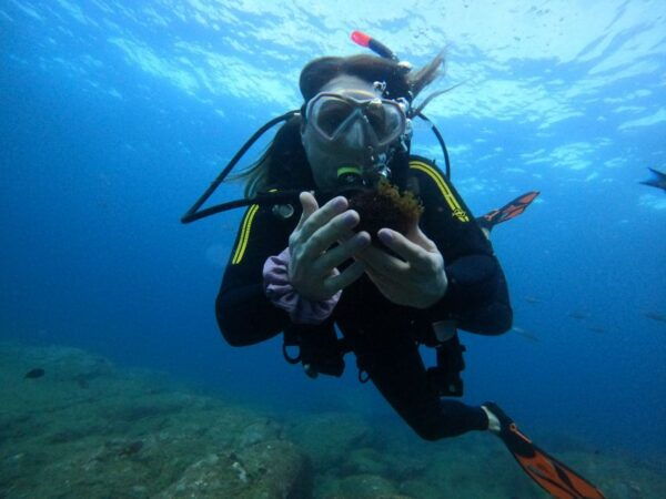 Tenerife: Beginners Scuba Dive in Puerto Colon Turtle Area - Common Questions