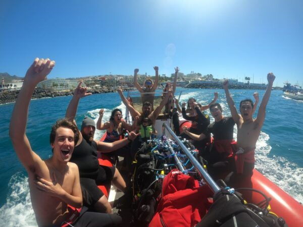 Tenerife: Beginners Scuba Dive in Puerto Colon Turtle Area - The Sum Up