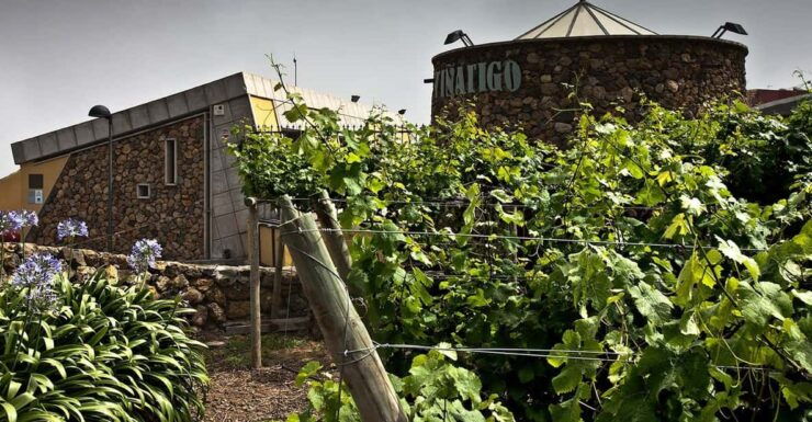 Tenerife: Bodega Viñátigo - Commented Tasting of 3 Wines - Good To Know