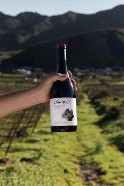 Tenerife: Bodega Viñatigo - Commented Tasting of 6 Wines - Wheelchair Accessibility