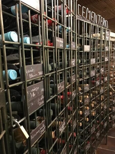 Tenerife: Bodega Viñatigo - Commented Tasting of 6 Wines - Cancellation Policy