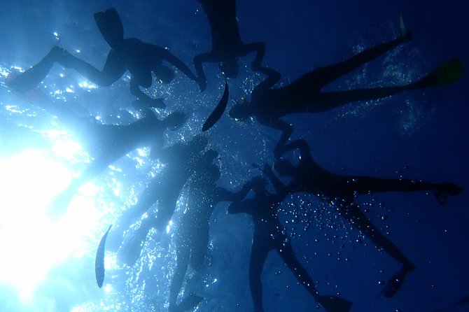 Tenerife Callao Salvaje Small-Group Snorkeling Tour - Additional Information
