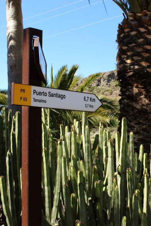 Tenerife: Camino Real Hike - Hiking Experience