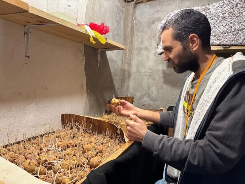 Tenerife: Canary History and Color Potatoes - Tenerife: Canary History and Color Potatoes – A Detailed Look