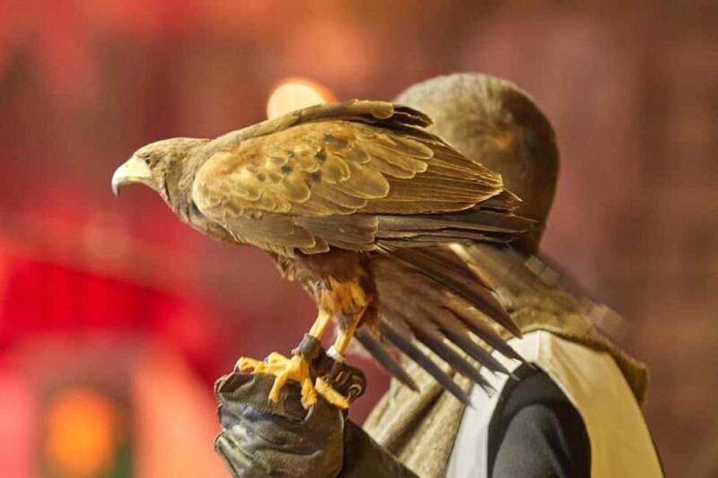 Tenerife: Castillo San Miguel Medieval Show and Banquet - Good To Know  