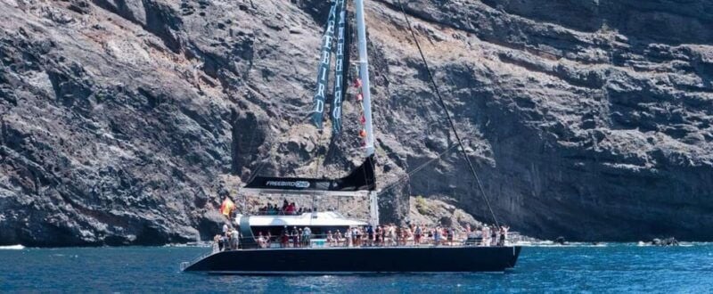 Tenerife: Catamaran Cruise With an Open Bar - Good To Know