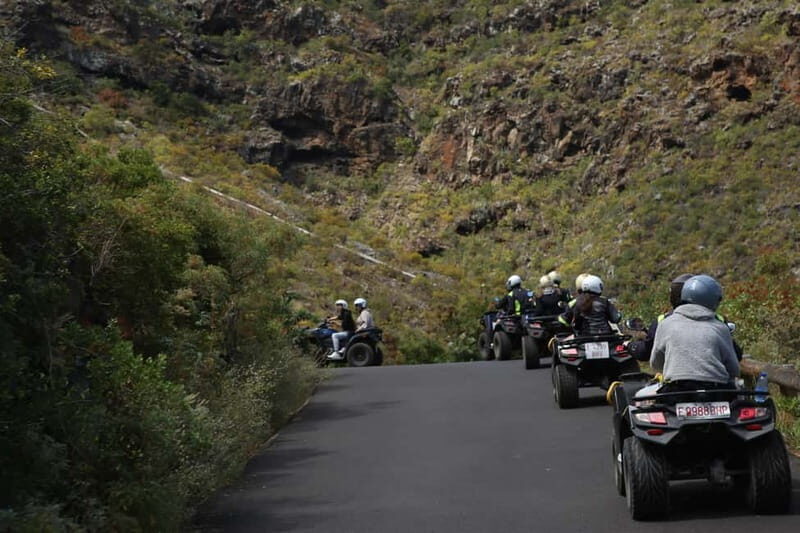 Tenerife: Coastal Sights to Woodland Heights Quad Tour - What’s Included & Practical Details
