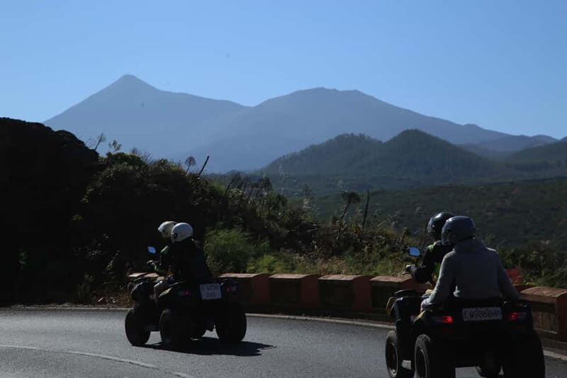 Tenerife: Coastal Sights to Woodland Heights Quad Tour - Who Will Love This Tour?