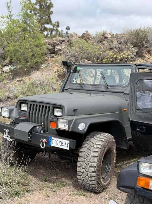 Tenerife: Coastal tour in a Jeep Wrangler to Los Gigantes and the South Coast - Good To Know