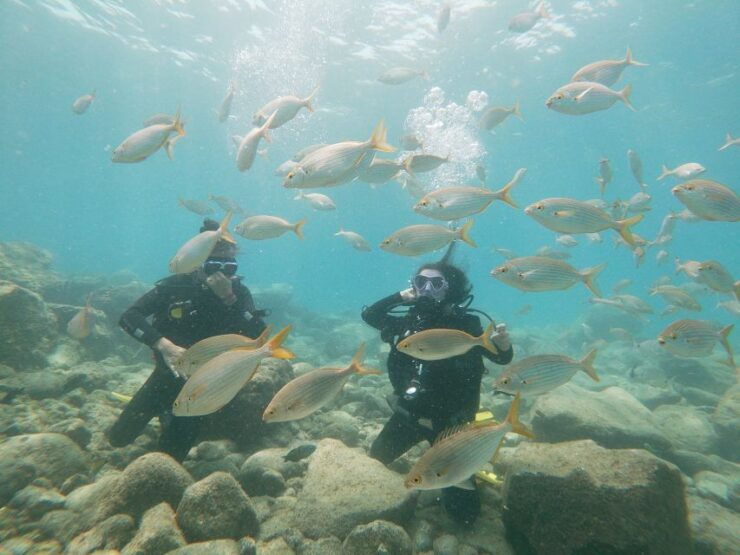 Tenerife: Costa Adeje Private Diving Lesson Experience - Pricing and Duration