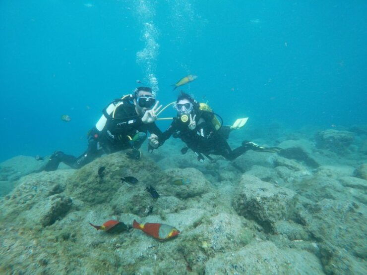 Tenerife: Costa Adeje Private Diving Lesson Experience - Instructor and Group Details
