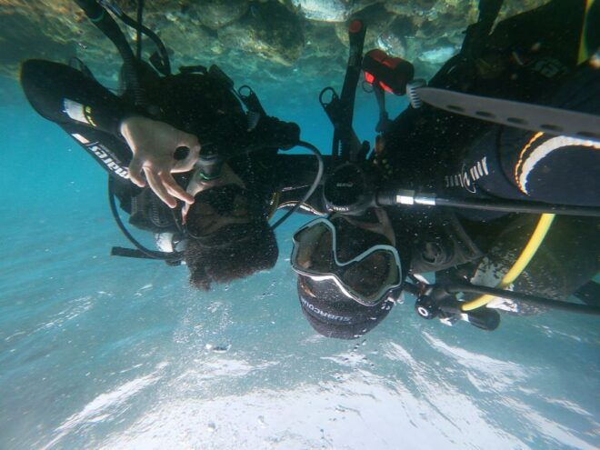 Tenerife: Costa Adeje Private Diving Lesson Experience - Suitability and Meeting Point