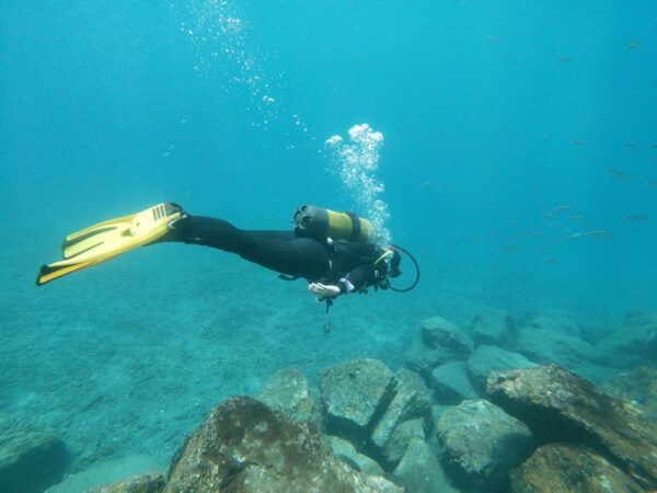 Tenerife: Costa Adeje Private Diving Lesson Experience - Essential Items to Bring and Restrictions