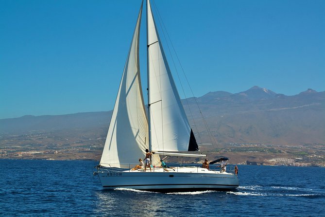 Tenerife Cruise With Snorkeling, Whale Watching - Tour Details