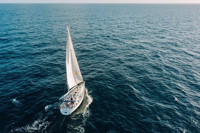 Tenerife Cruise With Snorkeling, Whale Watching - Wildlife Encounters