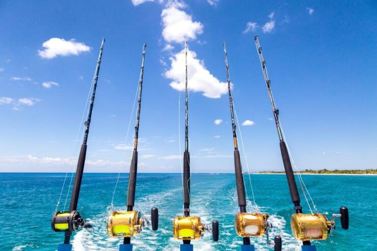 Tenerife: Deep Sea Fishing Private Charter - Good To Know