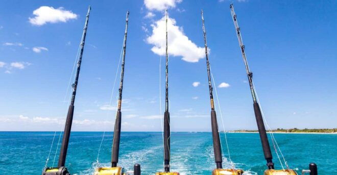 Tenerife: Deep Sea Fishing Private Charter - Equipment and Amenities