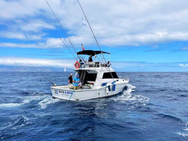 Tenerife: Deep Sea Fishing Private Charter - Safety and Health Considerations