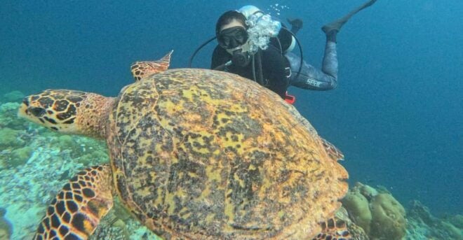 Tenerife - Discover Scuba Diving Experience With Instructor - Safety and Restrictions
