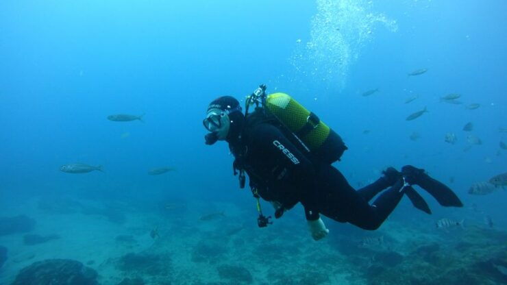 Tenerife: Discover Scuba Diving With Free Photos - Booking and Logistics