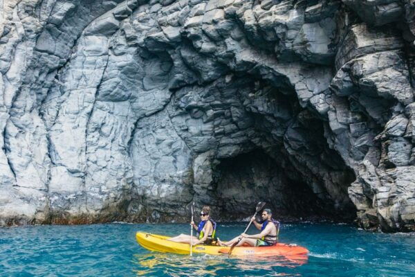 Tenerife: Dolphin Kayak Safari and Sea Turtle Snorkeling - Sea Turtle Snorkeling