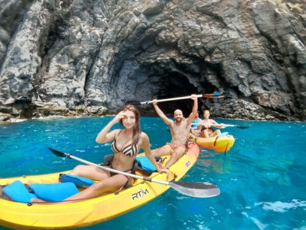 Tenerife: Dolphin Kayak Safari and Sea Turtle Snorkeling - Common Questions