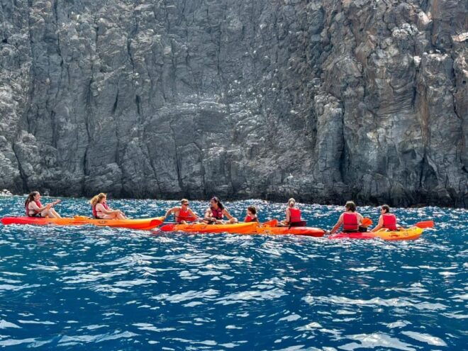 Tenerife: Eco-Kayak & Snorkel Tour Marine Reserve - Encounters With Marine Life