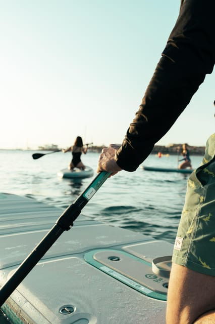 Tenerife: Electric Paddle Board Adventure Awaits - Weaving Through Vibrant Reefs