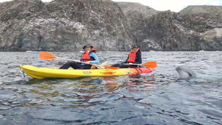 Tenerife Exclusive Small Group Kayaking Tour With Snorkeling - Good To Know